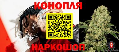 прущие грибы Бугуруслан
