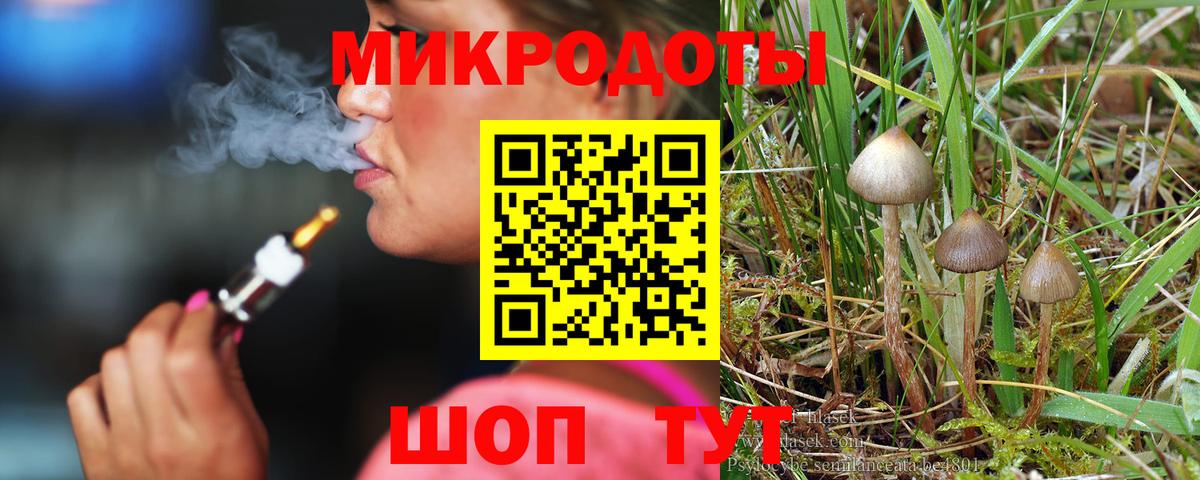 Нарткала  Галлюциногенные грибы Cubensis  что такое наркотик  Псилоцибиновые грибы прущие грибы  Вход с VPN 